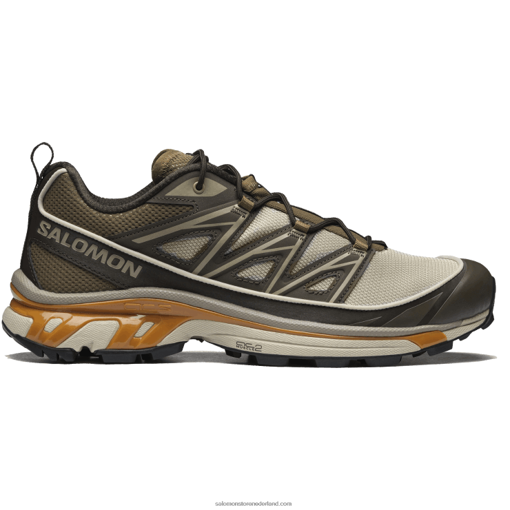 sportschoenen voor heren - xt-6 uitgestrektheid Salomon 22DD899 veergrijs/delicioso/goud eiken