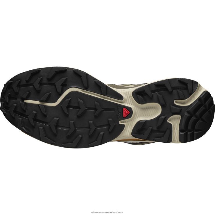 sportschoenen voor heren - xt-6 uitgestrektheid Salomon 22DD899 veergrijs/delicioso/goud eiken