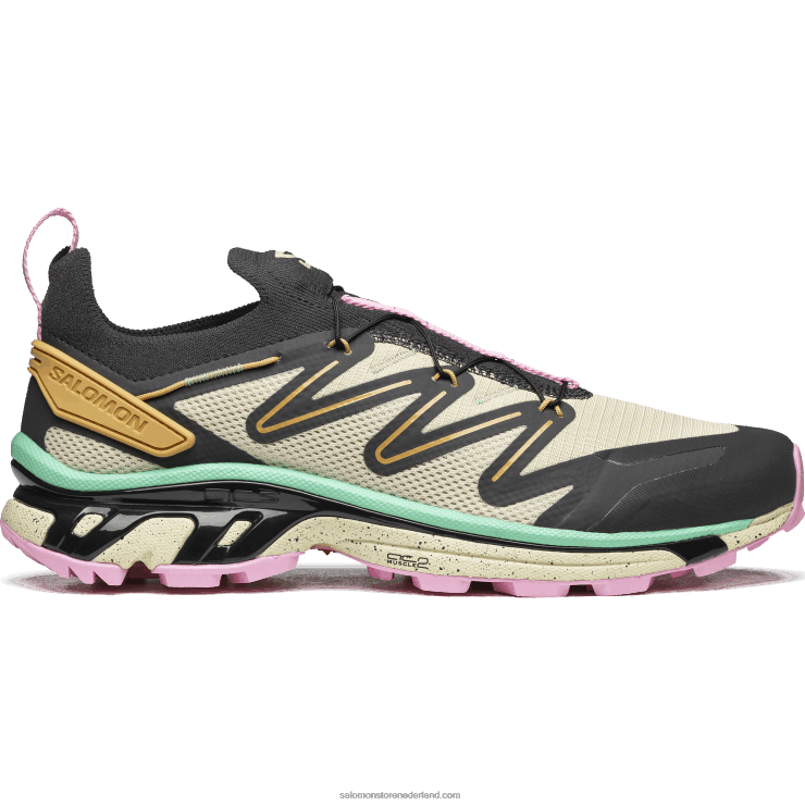sportschoenen voor heren - xt-rush 2 Salomon 22DD8109 mot / fantoom / taffy