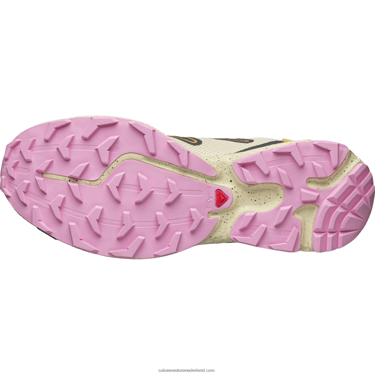 sportschoenen voor heren - xt-rush 2 Salomon 22DD8109 mot / fantoom / taffy