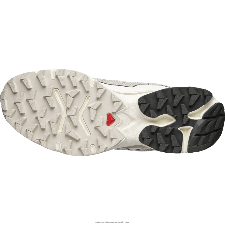 sportschoenen voor heren - xt-slate advanced Salomon 22DD8151 vanille-ijs/regenachtige dag/turf