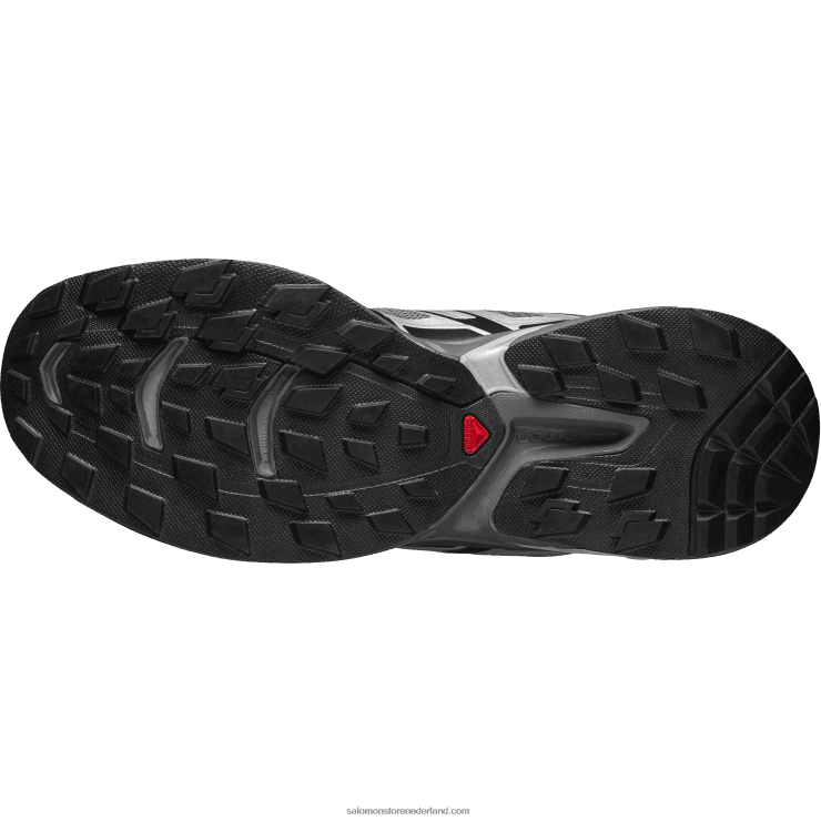 sportschoenen voor heren - xt-wings 2 Salomon 22DD8188 zilver/stille kap/zwart