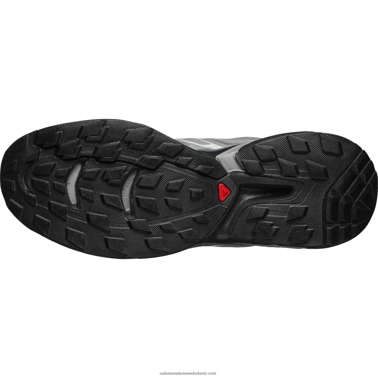 sportschoenen voor heren - xt-wings 2 Salomon 22DD8189 vorstgrijs/stormachtig weer/fantoom