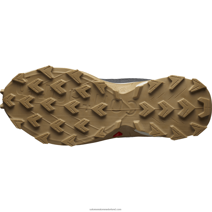 trailrunningschoenen voor heren - alphacross 4 Salomon 22DD81483 ebbenhout/regenachtige dag/fantoom