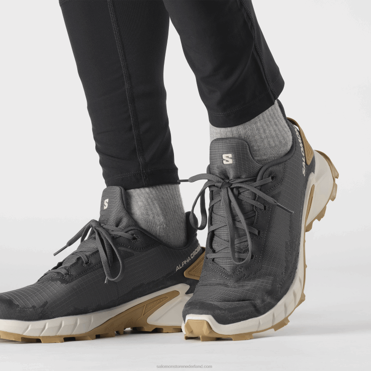 trailrunningschoenen voor heren - alphacross 4 Salomon 22DD81483 ebbenhout/regenachtige dag/fantoom