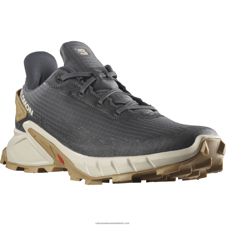 trailrunningschoenen voor heren - alphacross 4 Salomon 22DD81483 ebbenhout/regenachtige dag/fantoom