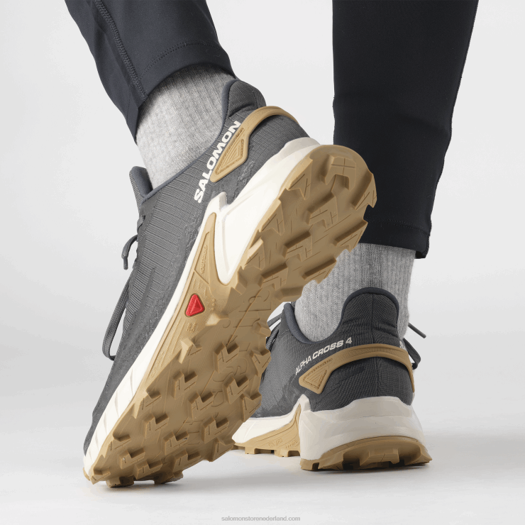 trailrunningschoenen voor heren - alphacross 4 Salomon 22DD81483 ebbenhout/regenachtige dag/fantoom