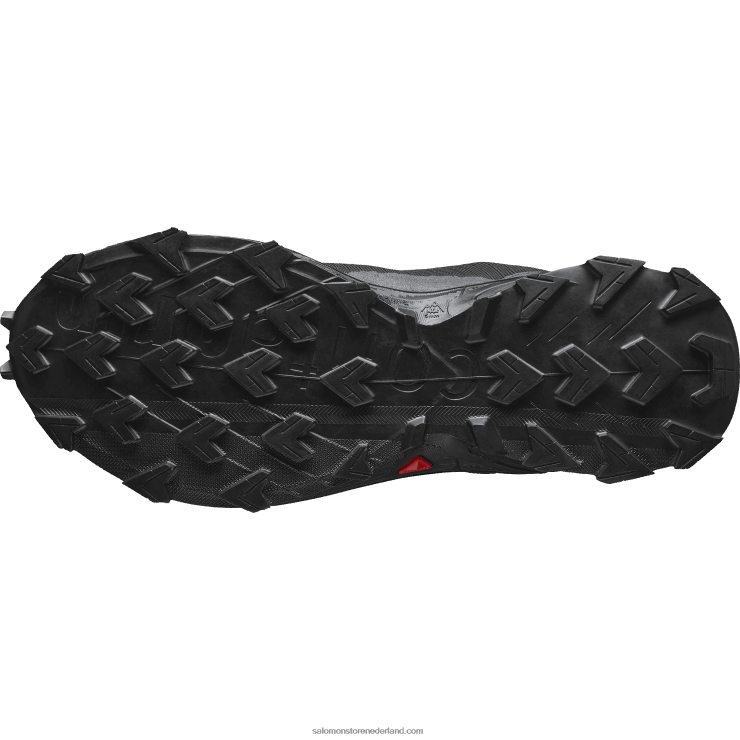 trailrunningschoenen voor heren - alphacross 4 gore-tex Salomon 22DD81475 zwart