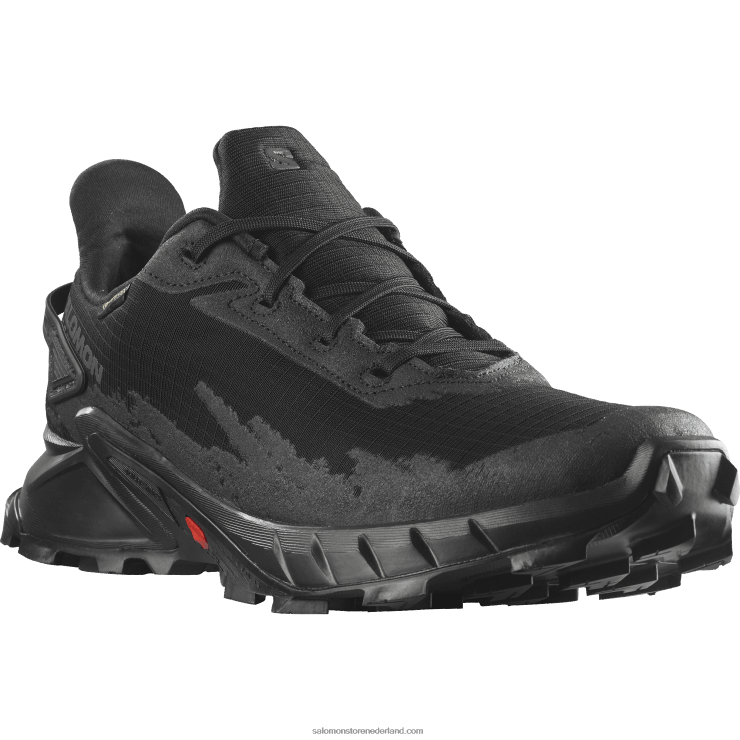 trailrunningschoenen voor heren - alphacross 4 gore-tex Salomon 22DD81475 zwart