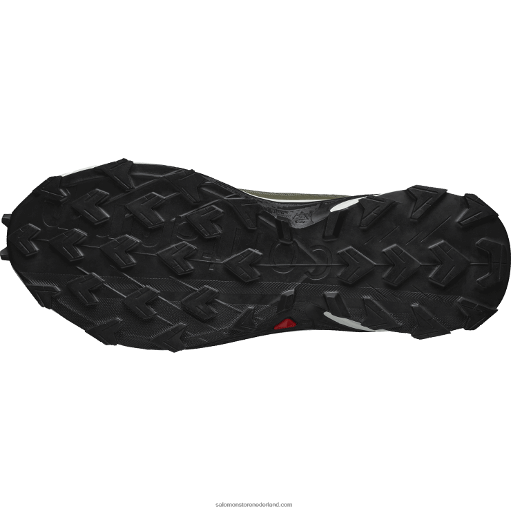 trailrunningschoenen voor heren - alphacross 4 gore-tex Salomon 22DD81476 diep korstmosgroen/vanille-ijs/olijfnacht