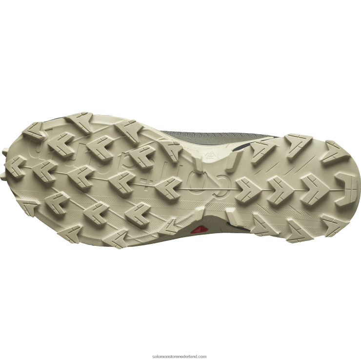 trailrunningschoenen voor heren - alphacross 4 gore-tex Salomon 22DD81477 olijf nacht/zwart/mosgrijs