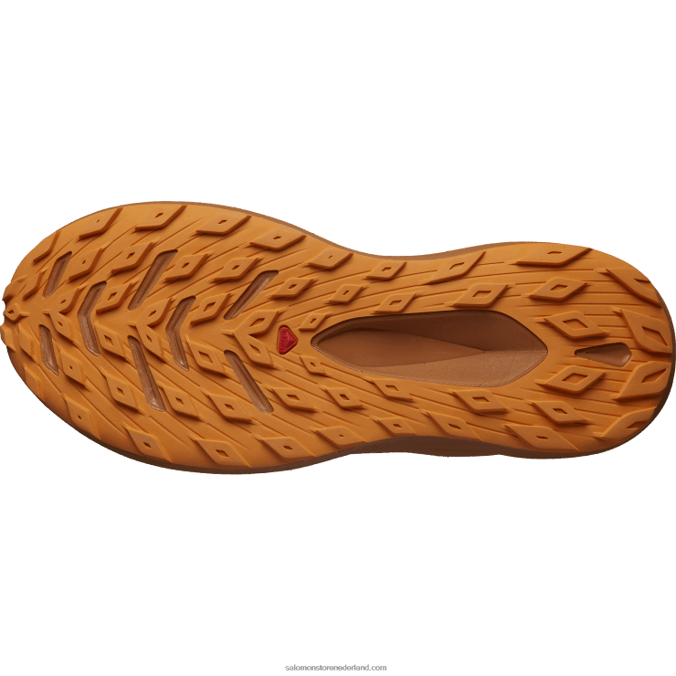 trailrunningschoenen voor heren - glide max tr Salomon 22DD81447 donkere saffier/suiker amandel/oranje peper