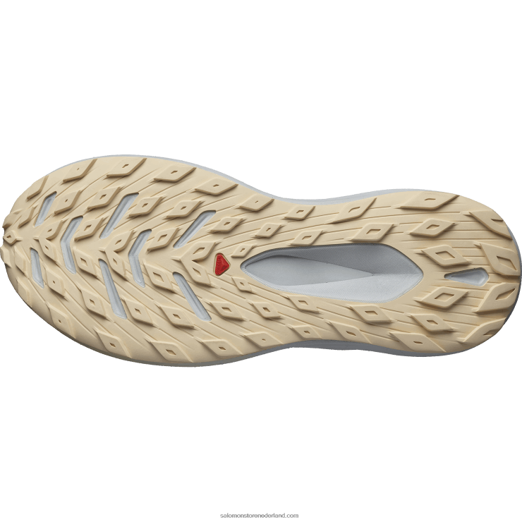trailrunningschoenen voor heren - glide max tr Salomon 22DD81449 rustige tint/parelblauw/gebleekt zand