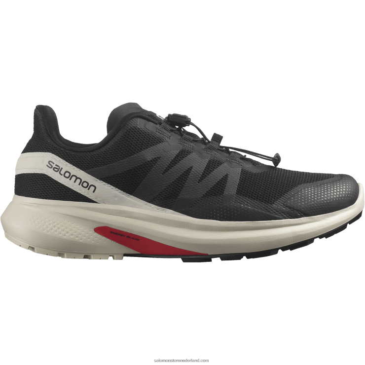 trailrunningschoenen voor heren - hypulse Salomon 22DD81485 zwarte/regenachtige dag