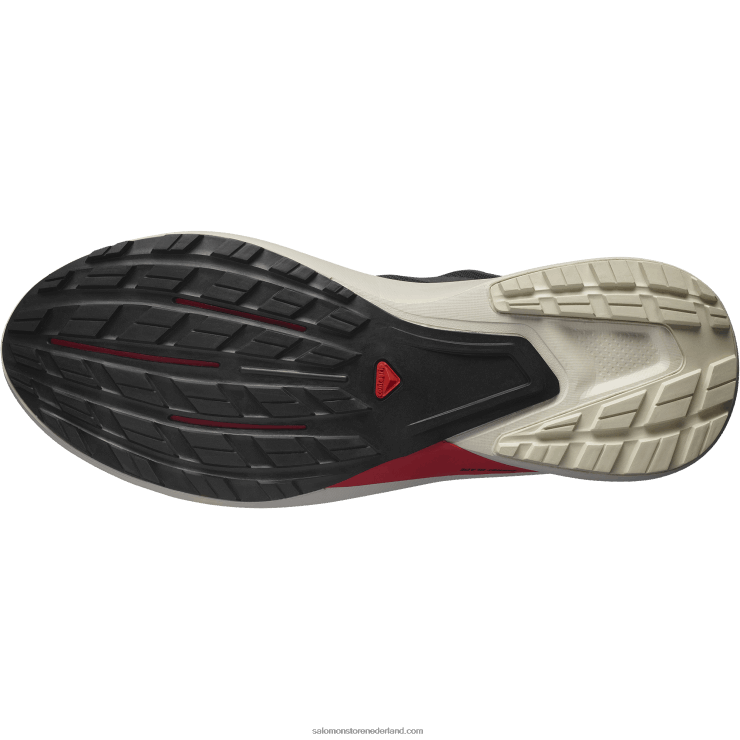 trailrunningschoenen voor heren - hypulse Salomon 22DD81485 zwarte/regenachtige dag