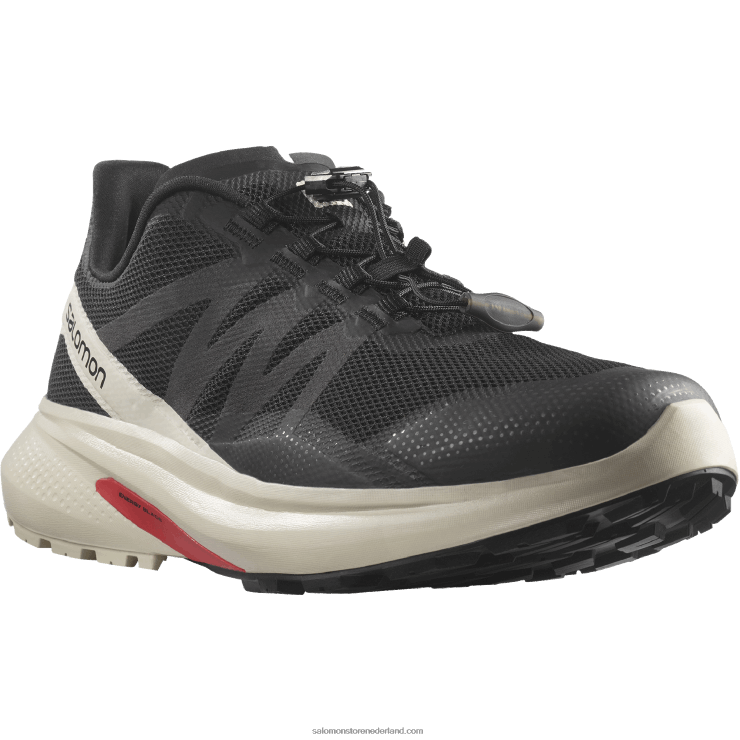 trailrunningschoenen voor heren - hypulse Salomon 22DD81485 zwarte/regenachtige dag