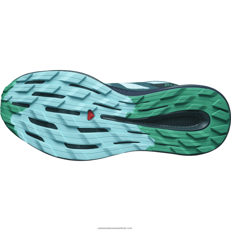 trailrunningschoenen voor heren - pulsar trail Salomon 22DD81460 blauwe uitstraling/koolstof/smaragd