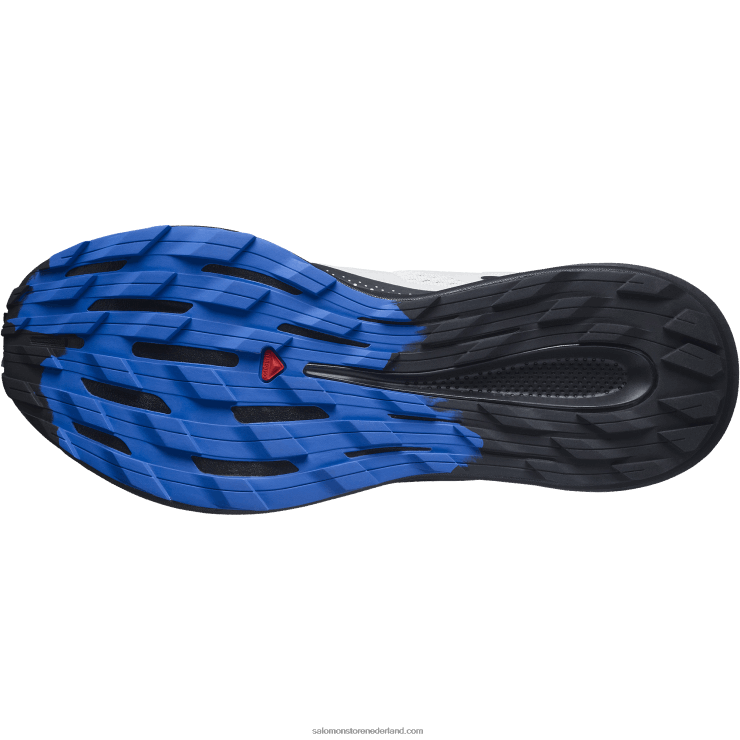 trailrunningschoenen voor heren - pulsar trail Salomon 22DD81461 maansteen/zwart/verblindend blauw