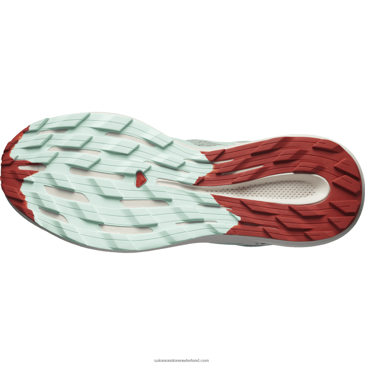 trailrunningschoenen voor heren - pulsar trail Salomon 22DD81464 lelieblad/gebleekte aqua/hete saus