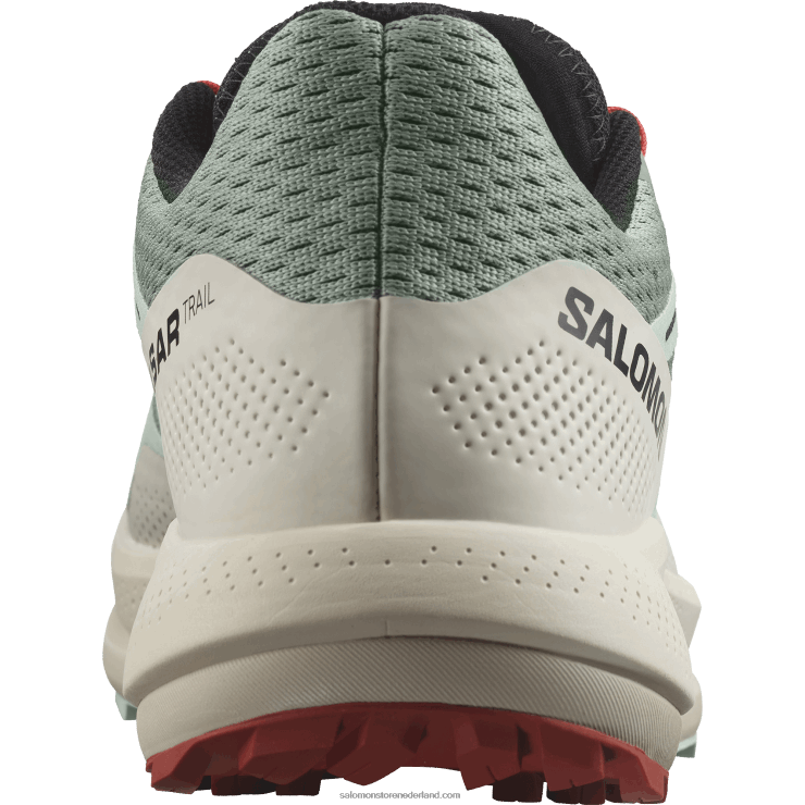 trailrunningschoenen voor heren - pulsar trail Salomon 22DD81464 lelieblad/gebleekte aqua/hete saus