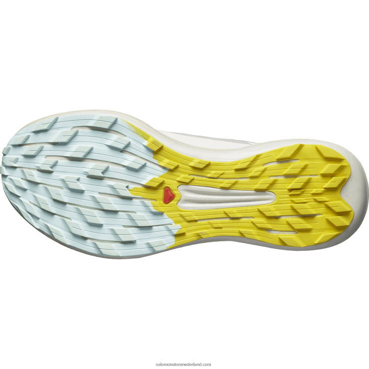 trailrunningschoenen voor heren - pulsar trail pro 2 Salomon 22DD81437 regenachtige dag/hete saus/freesia