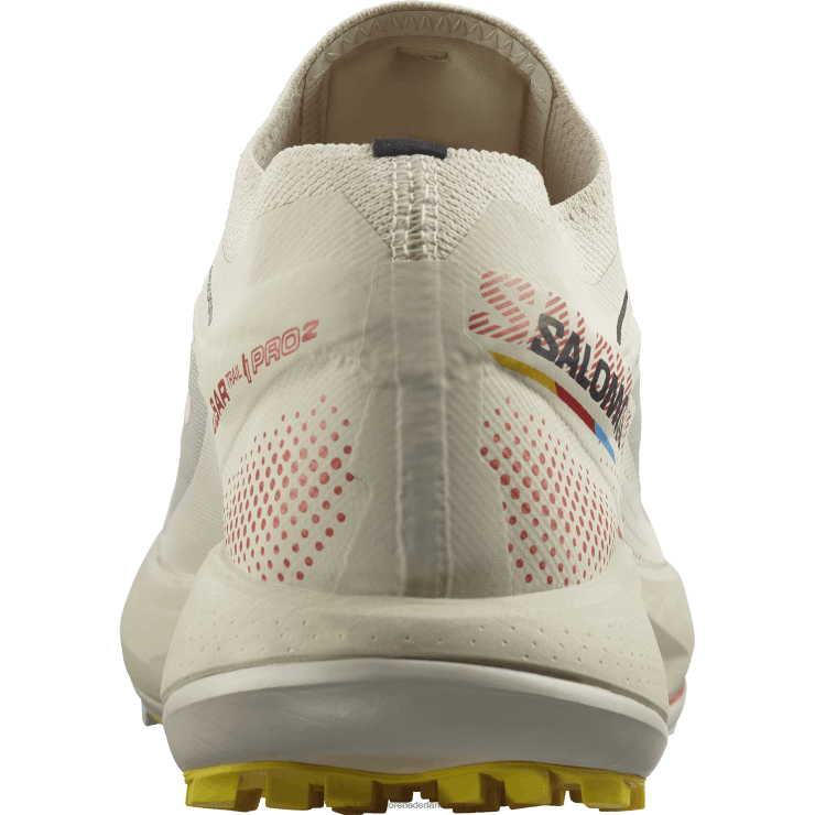 trailrunningschoenen voor heren - pulsar trail pro 2 Salomon 22DD81437 regenachtige dag/hete saus/freesia