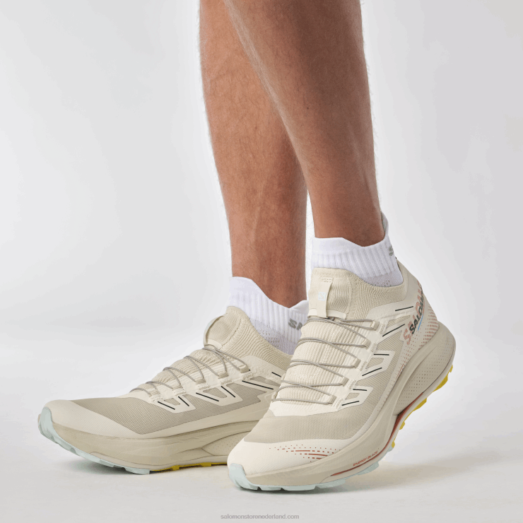 trailrunningschoenen voor heren - pulsar trail pro 2 Salomon 22DD81437 regenachtige dag/hete saus/freesia