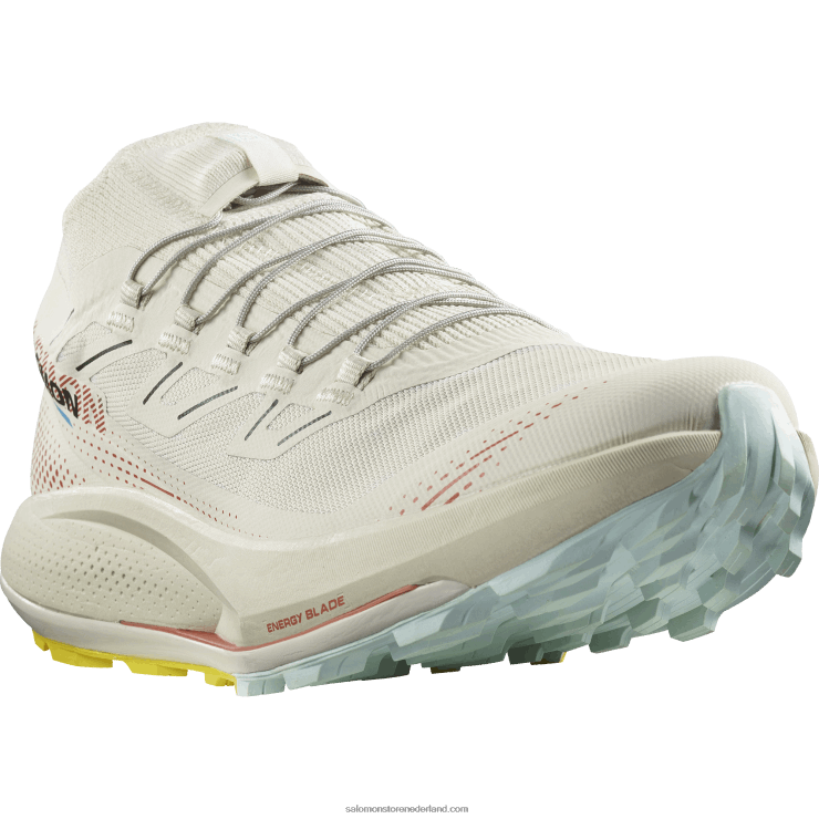 trailrunningschoenen voor heren - pulsar trail pro 2 Salomon 22DD81437 regenachtige dag/hete saus/freesia