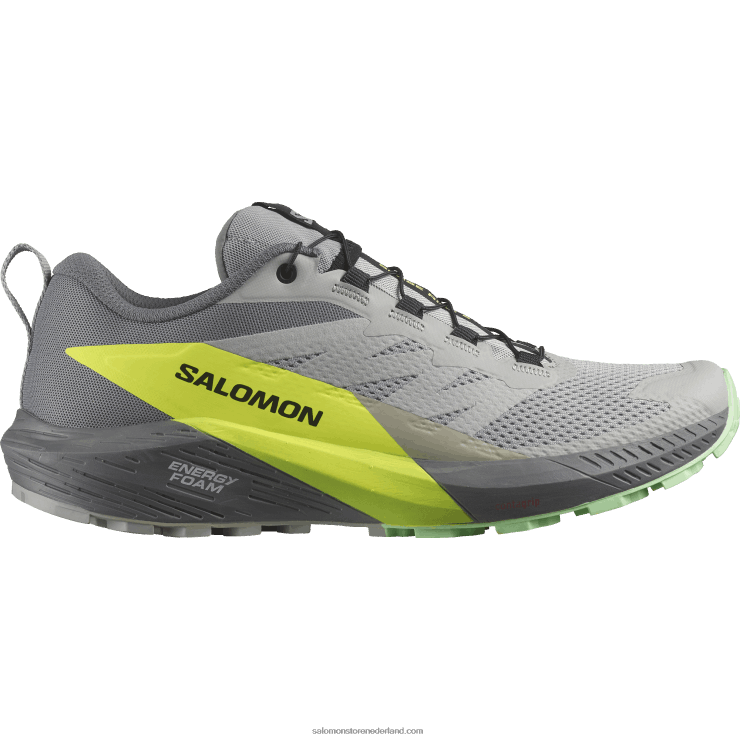 trailrunningschoenen voor heren - sense ride 5 Salomon 22DD81431 legering/stille tint/veiligheidsgeel