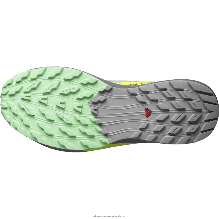 trailrunningschoenen voor heren - sense ride 5 Salomon 22DD81431 legering/stille tint/veiligheidsgeel