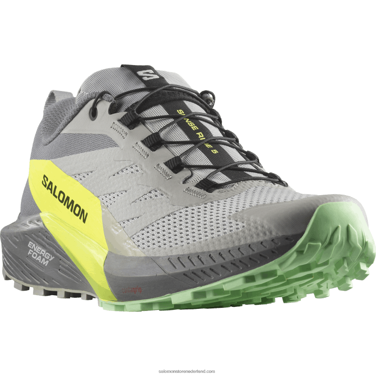 trailrunningschoenen voor heren - sense ride 5 Salomon 22DD81431 legering/stille tint/veiligheidsgeel