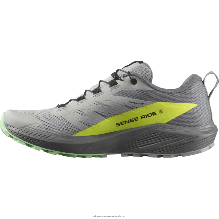 trailrunningschoenen voor heren - sense ride 5 Salomon 22DD81431 legering/stille tint/veiligheidsgeel