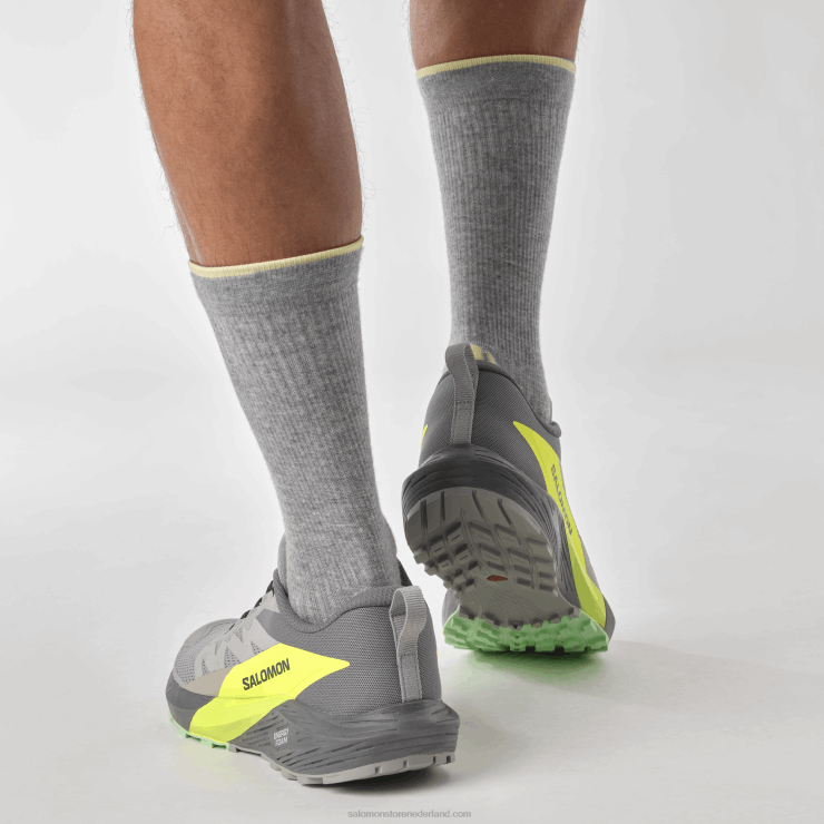 trailrunningschoenen voor heren - sense ride 5 Salomon 22DD81431 legering/stille tint/veiligheidsgeel