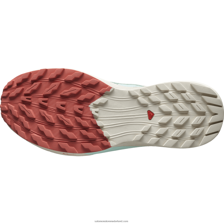 trailrunningschoenen voor heren - sense ride 5 Salomon 22DD81433 lelieblad/regenachtige dag/gebleekte aqua