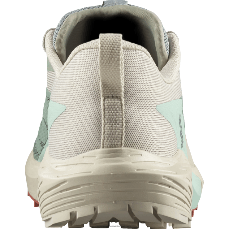 trailrunningschoenen voor heren - sense ride 5 Salomon 22DD81433 lelieblad/regenachtige dag/gebleekte aqua