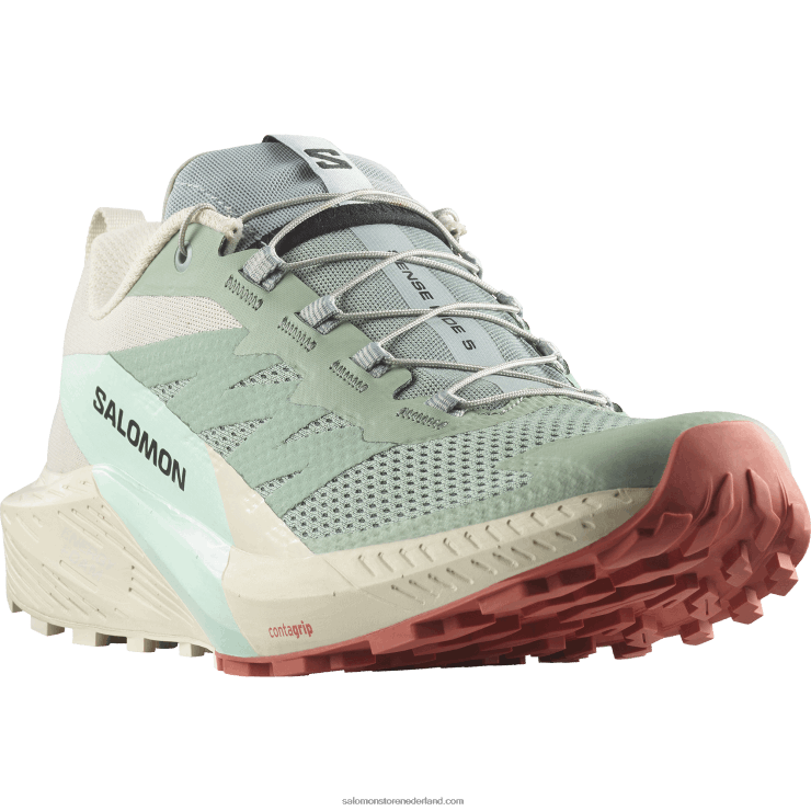 trailrunningschoenen voor heren - sense ride 5 Salomon 22DD81433 lelieblad/regenachtige dag/gebleekte aqua