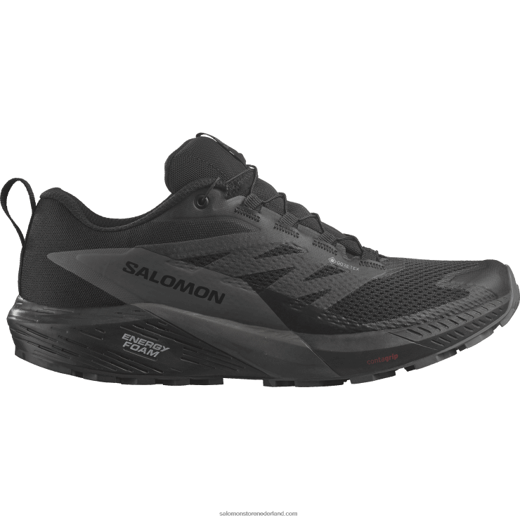 trailrunningschoenen voor heren - sense ride 5 gore-tex Salomon 22DD81444 zwart/magneet