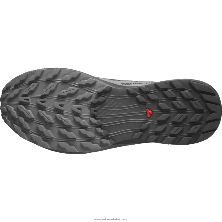 trailrunningschoenen voor heren - sense ride 5 gore-tex Salomon 22DD81444 zwart/magneet