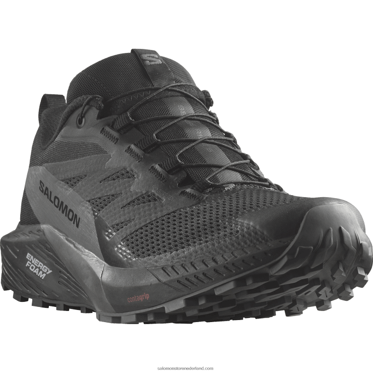 trailrunningschoenen voor heren - sense ride 5 gore-tex Salomon 22DD81444 zwart/magneet