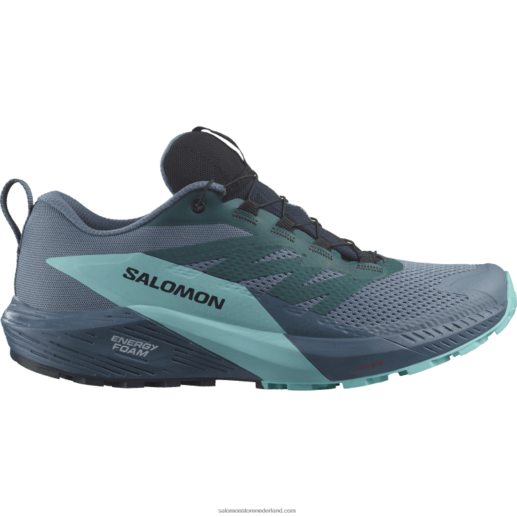 trailrunningschoenen voor heren - sense ride 5 gore-tex Salomon 22DD81445 koolstof/blauwe uitstraling/porseleinblauw