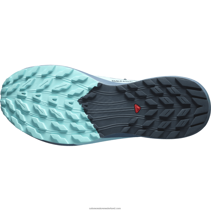 trailrunningschoenen voor heren - sense ride 5 gore-tex Salomon 22DD81445 koolstof/blauwe uitstraling/porseleinblauw