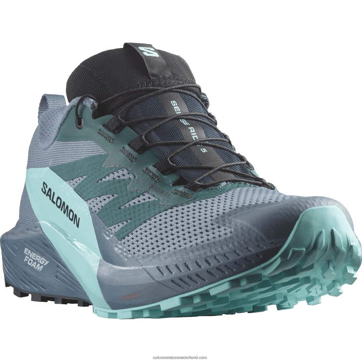 trailrunningschoenen voor heren - sense ride 5 gore-tex Salomon 22DD81445 koolstof/blauwe uitstraling/porseleinblauw