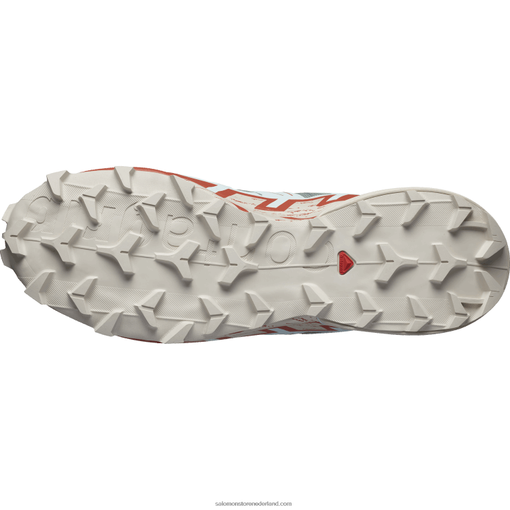 trailrunningschoenen voor heren - speedcross 6 Salomon 22DD81454 lelieblad/regenachtige dag/gebleekte aqua