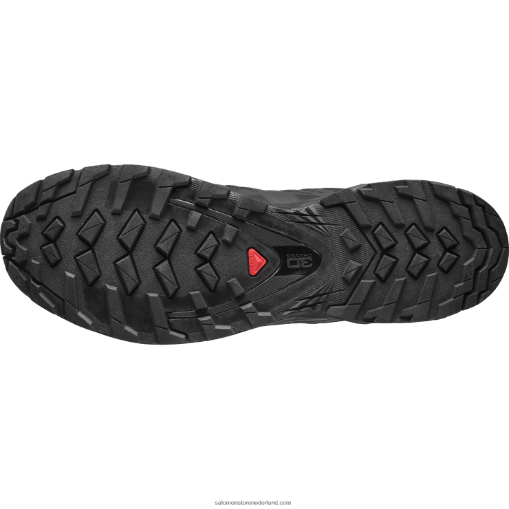trailrunningschoenen voor heren - xa pro 3d v8 gore-tex Salomon 22DD81482 zwart