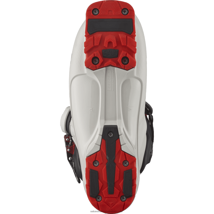 skischoenen voor heren - s/pro supra boa 120 Salomon 22DD81238 grijze aurora/zwart/rood