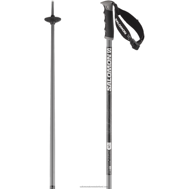 alpine stokken heren - arctic s3 Salomon 22DD81243 zwart