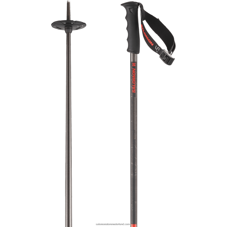 alpine stokken heren - arctic s3 xl Salomon 22DD81251 grijs