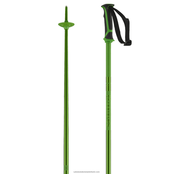 alpine stokken voor heren - arctisch Salomon 22DD81258 groente