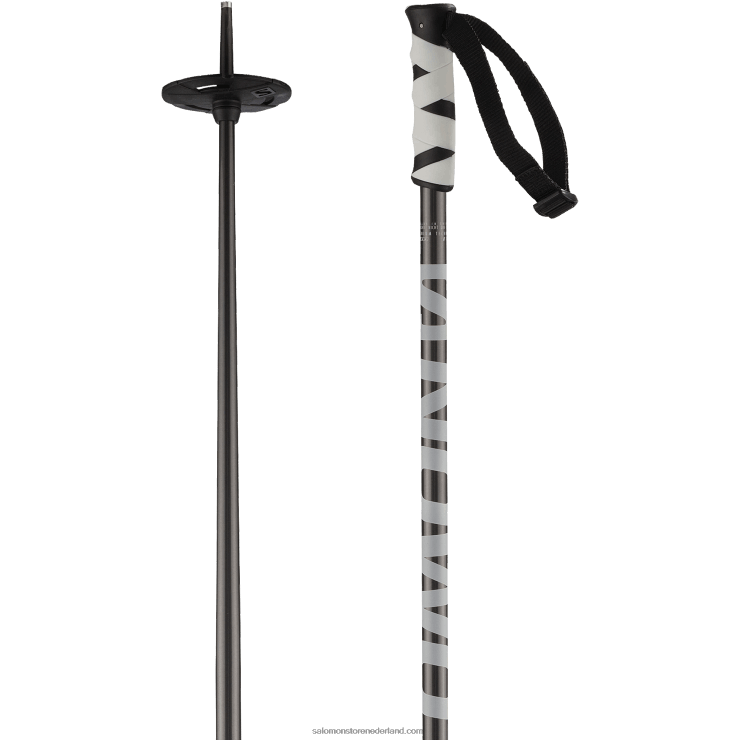 alpine stokken voor heren - hacker Salomon 22DD81252 zwart