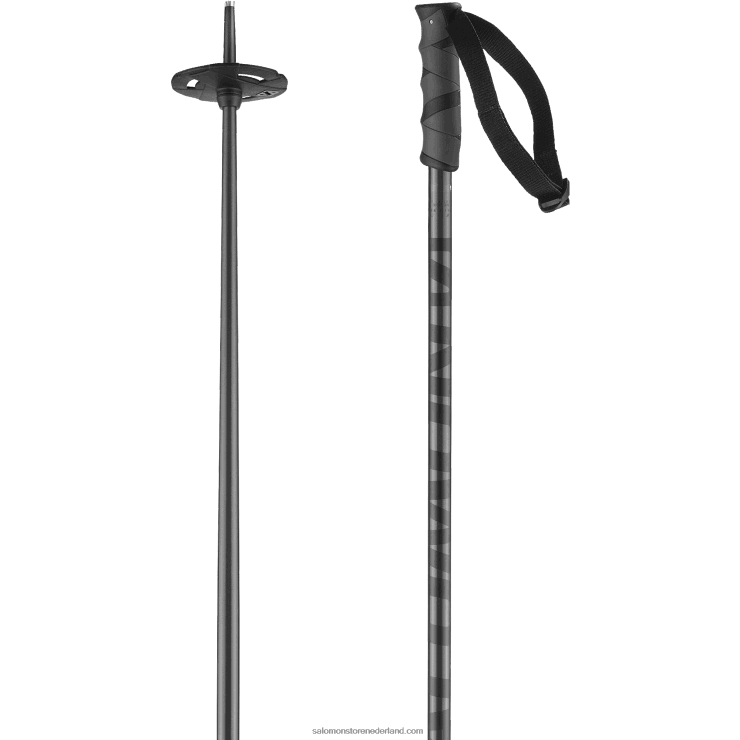 alpine stokken voor heren - hacker Salomon 22DD81253 zwart